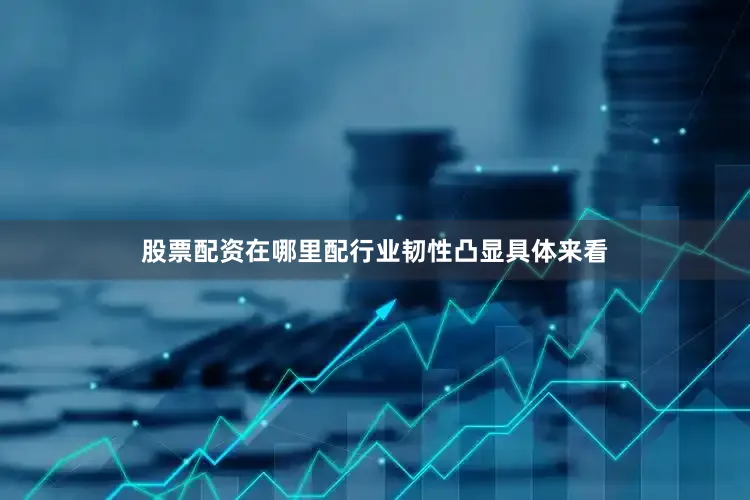 股票配资在哪里配行业韧性凸显具体来看