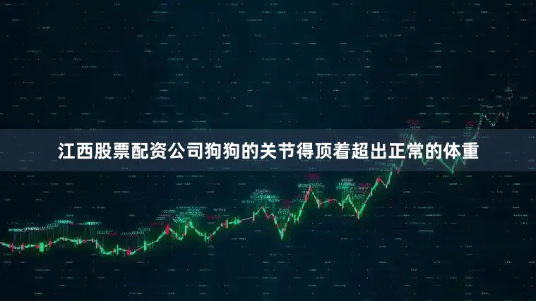 江西股票配资公司狗狗的关节得顶着超出正常的体重